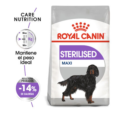 Royal Canin Maxi Sterilised pienso para perros